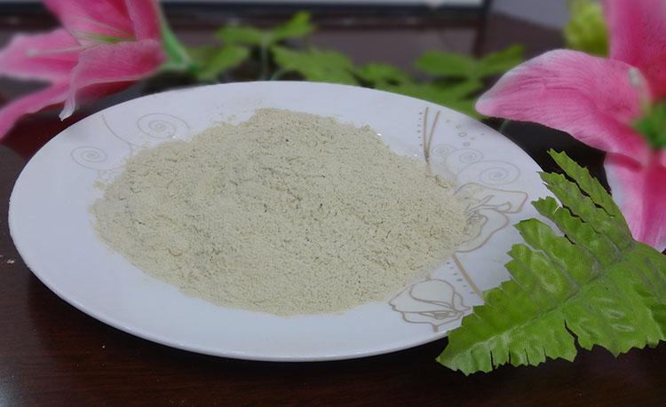 大蒜粉